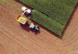 Kőolajból kukorica, avagy az agrárium és a válságok