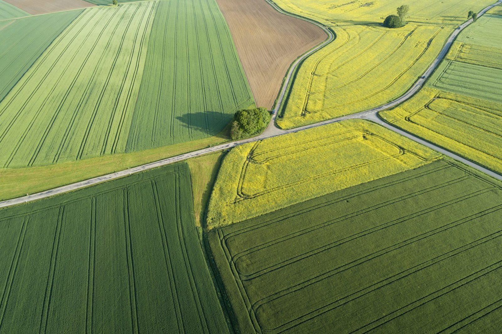 Tovább emelkedett a termőföldek ára 2021-ben