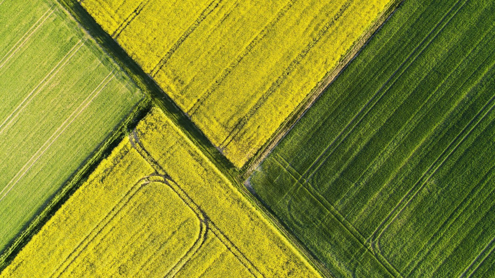 Évek óta nem látott mértékben nőtt a termőföldek ára Magyarországon