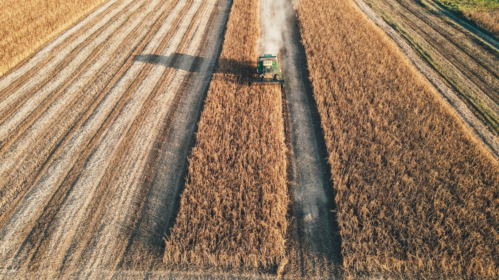 Biztató és fenyegető jelek a magyar agráriumra nézve
