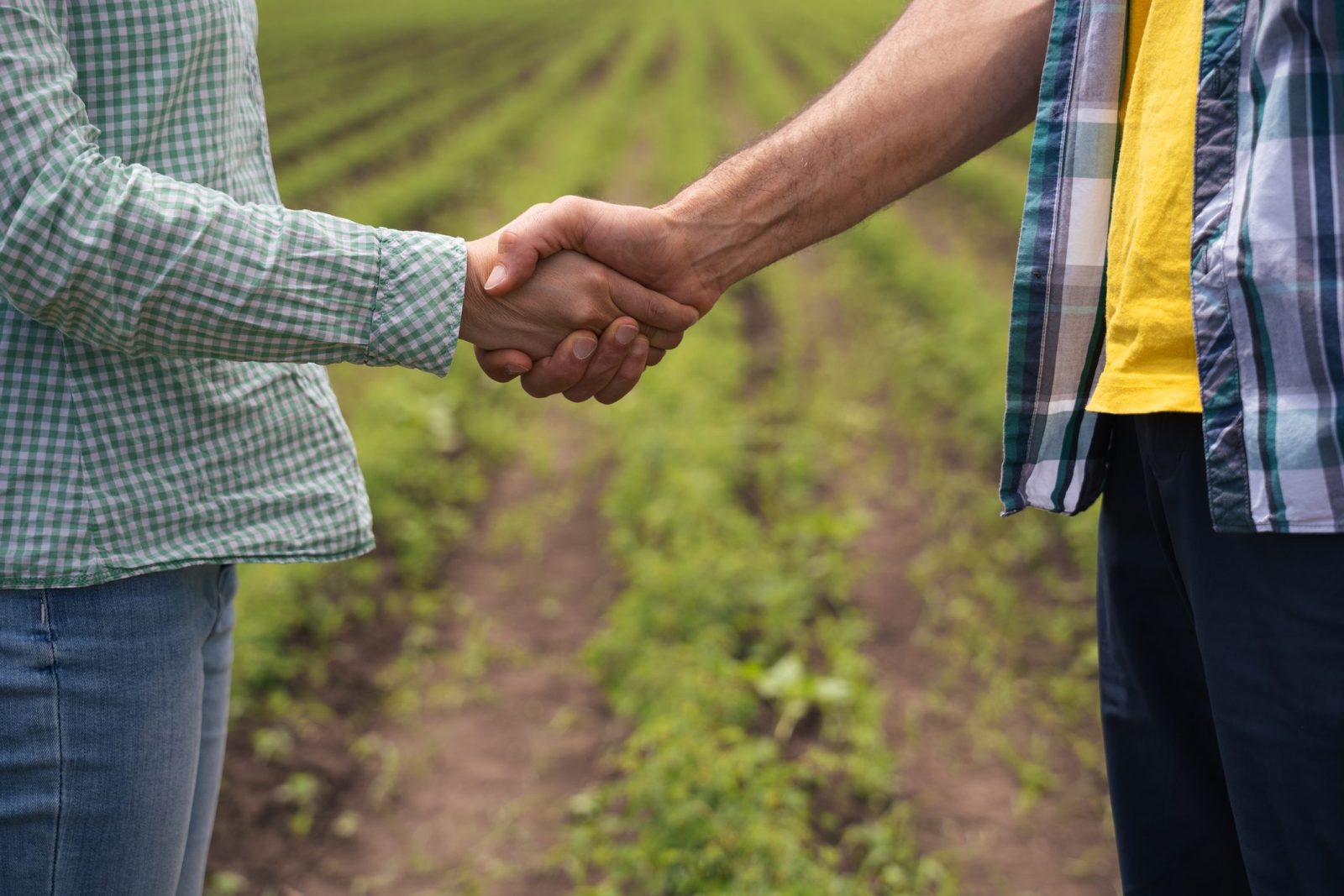 Ha gyorsan érkeznek, életmentők lehetnek az agrártámogatások