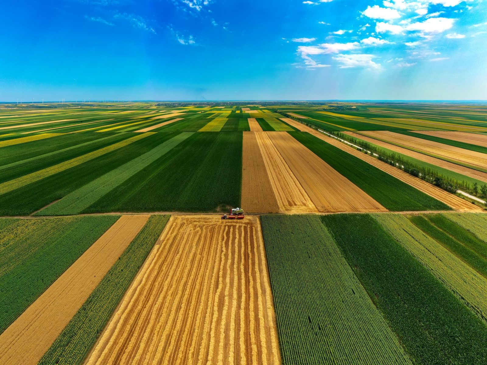 Tovább javultak a magyar agrárium szereplőinek kilátásai – MBH AgrárTrend Index