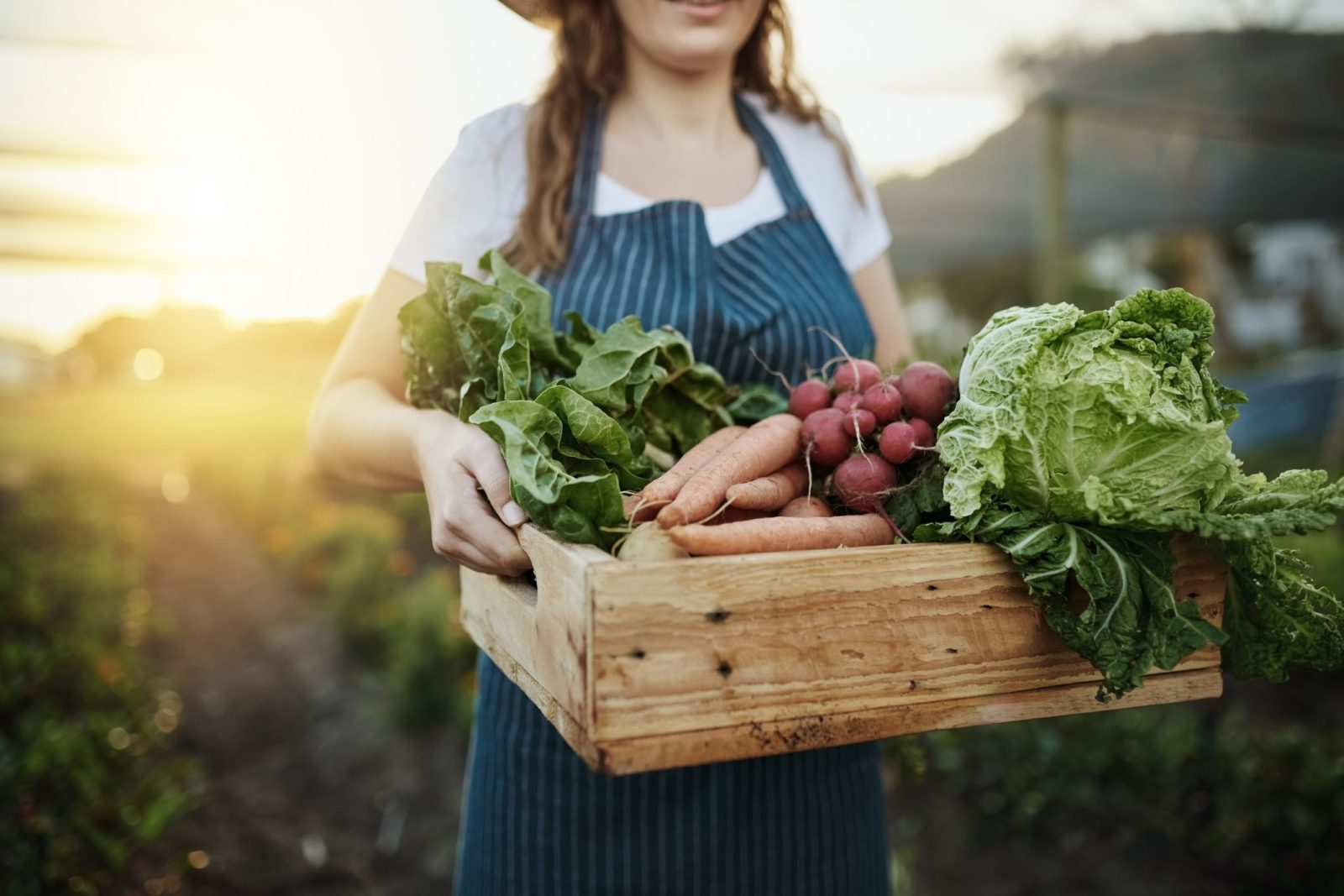 MBH AgrárTrend Index: stabilizálódtak a magyar élelmiszer-gazdaság kilátásai