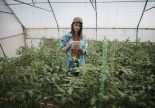 MBH AgrárTrend Index: Jelentős változások előtt áll a magyar agrárium 2026-ban