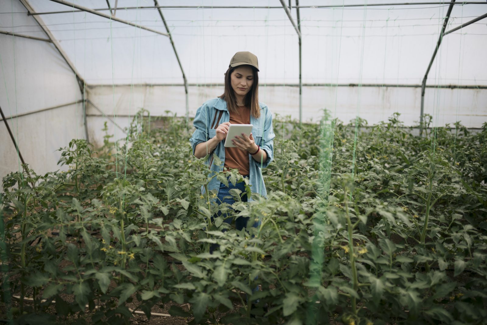 MBH AgrárTrend Index: Jelentős változások előtt áll a magyar agrárium 2026-ban
