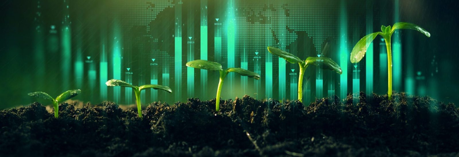 Innovatív zöld-pénzügyi mechanizmusok: Debt-for-Nature tranzakciók és globális szerepük a klímafinanszírozásban