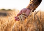 MBH AgrárTrend Index: Már rövid távon strukturális változásokra kényszerül az ágazat